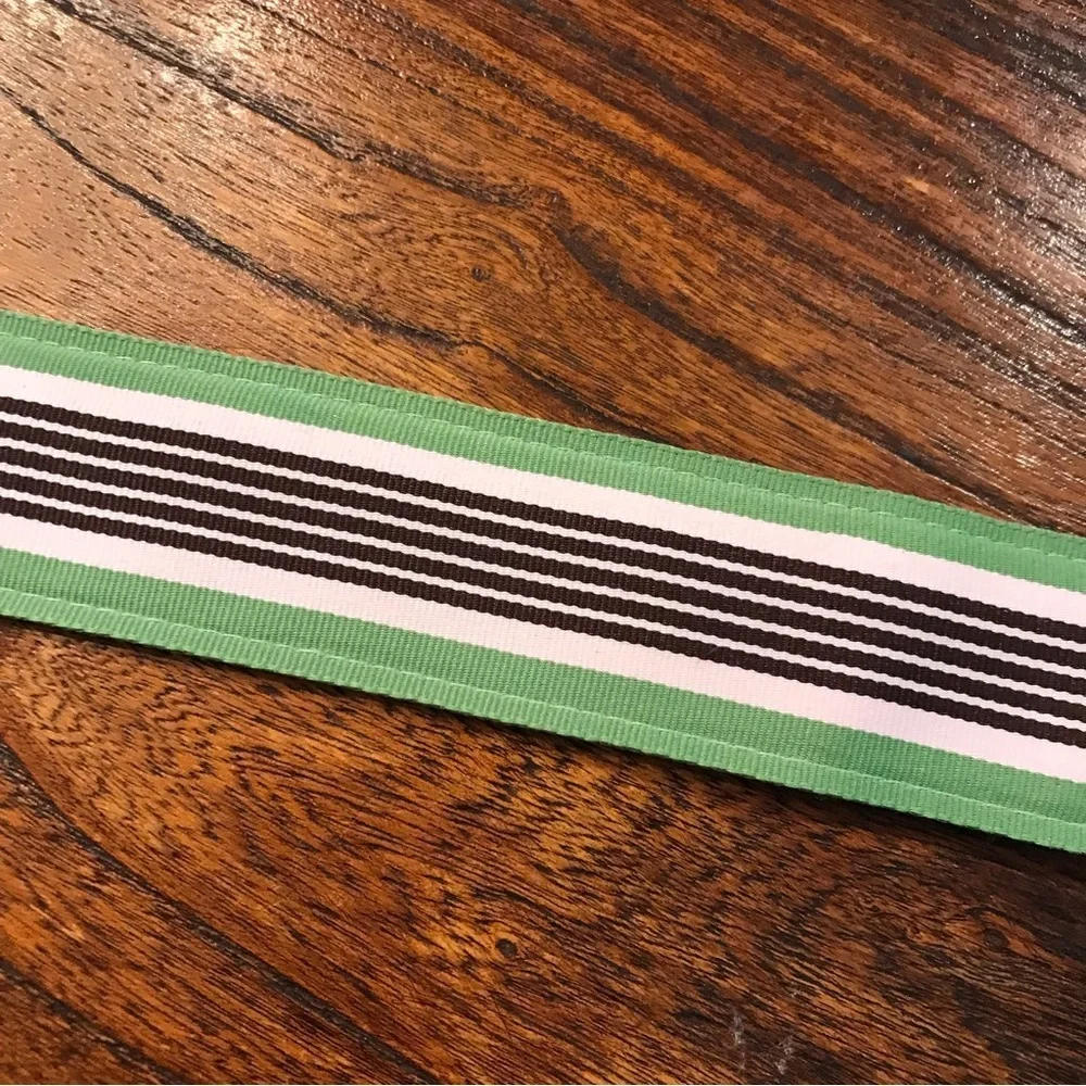 ⚓️J CREW Ribbon Belt - Picture 4 of 6